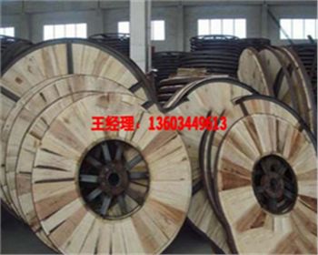 鐵木電纜盤廠家廠區(qū)風(fēng)貌